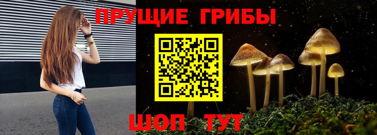 Галлюциногенные грибы Psilocybe  Вход с VPN  Краснодар 